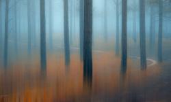 Featured image of post Bing每日图片20211030