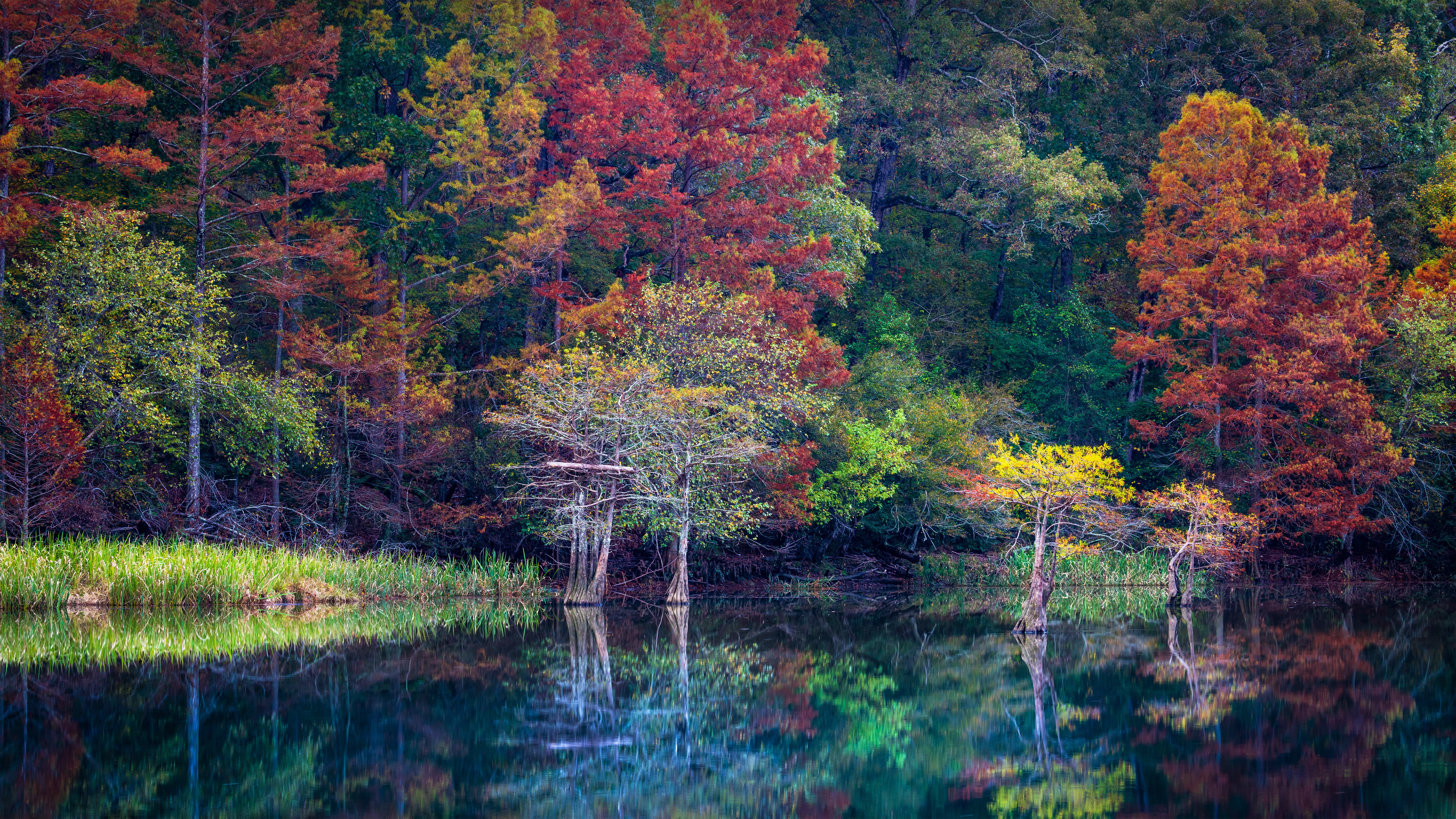 海狸湾度假公园, 美国俄克拉何马州 (© Inge Johnsson/Alamy)