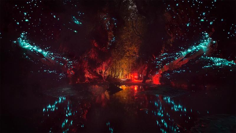 Featured image of post Bing每日图片20211209