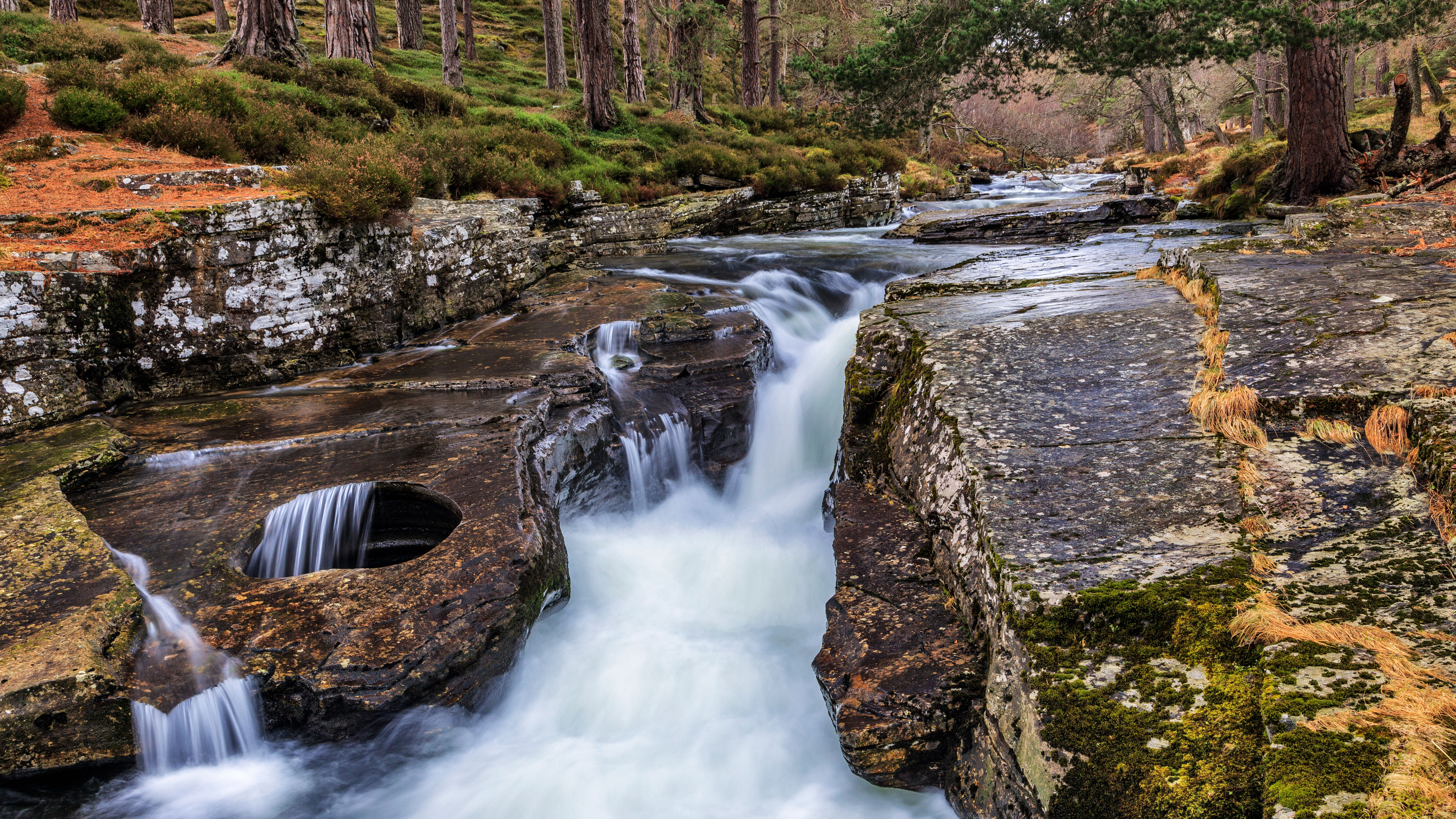 Linn of Quoich瀑布旁的碗状岩石洞,苏格兰阿伯丁郡 (© AWL Images/Danita Delimont)