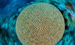 Featured image of post Bing每日图片20220129