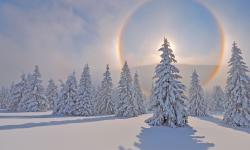 Featured image of post Bing每日图片20220130