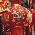 Bing每日图片20220201