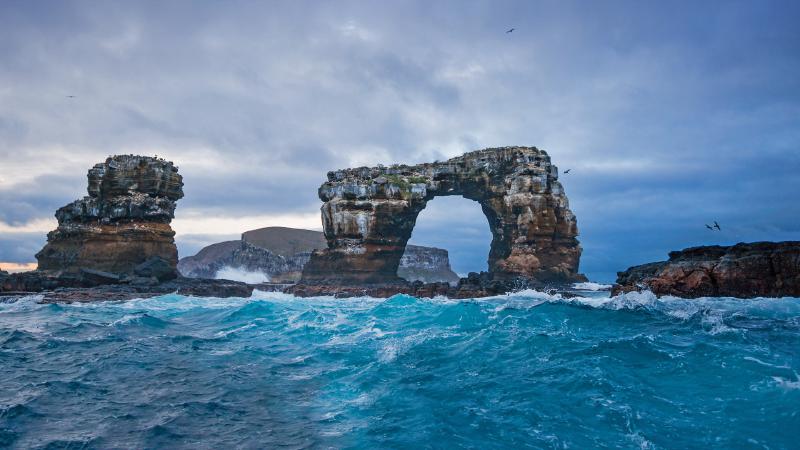 Featured image of post Bing每日图片20220212