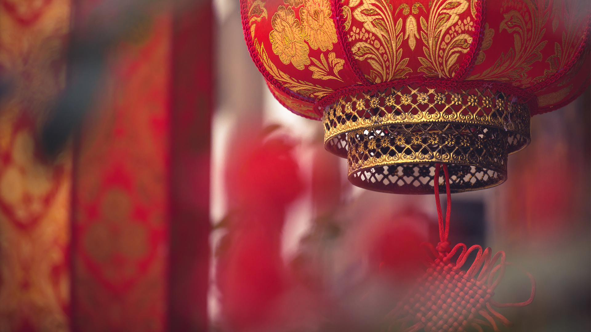 成都街头的红灯笼,中国四川省(© kiszon pascal/Moment/Getty Images)