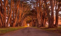 Featured image of post Bing每日图片20220223