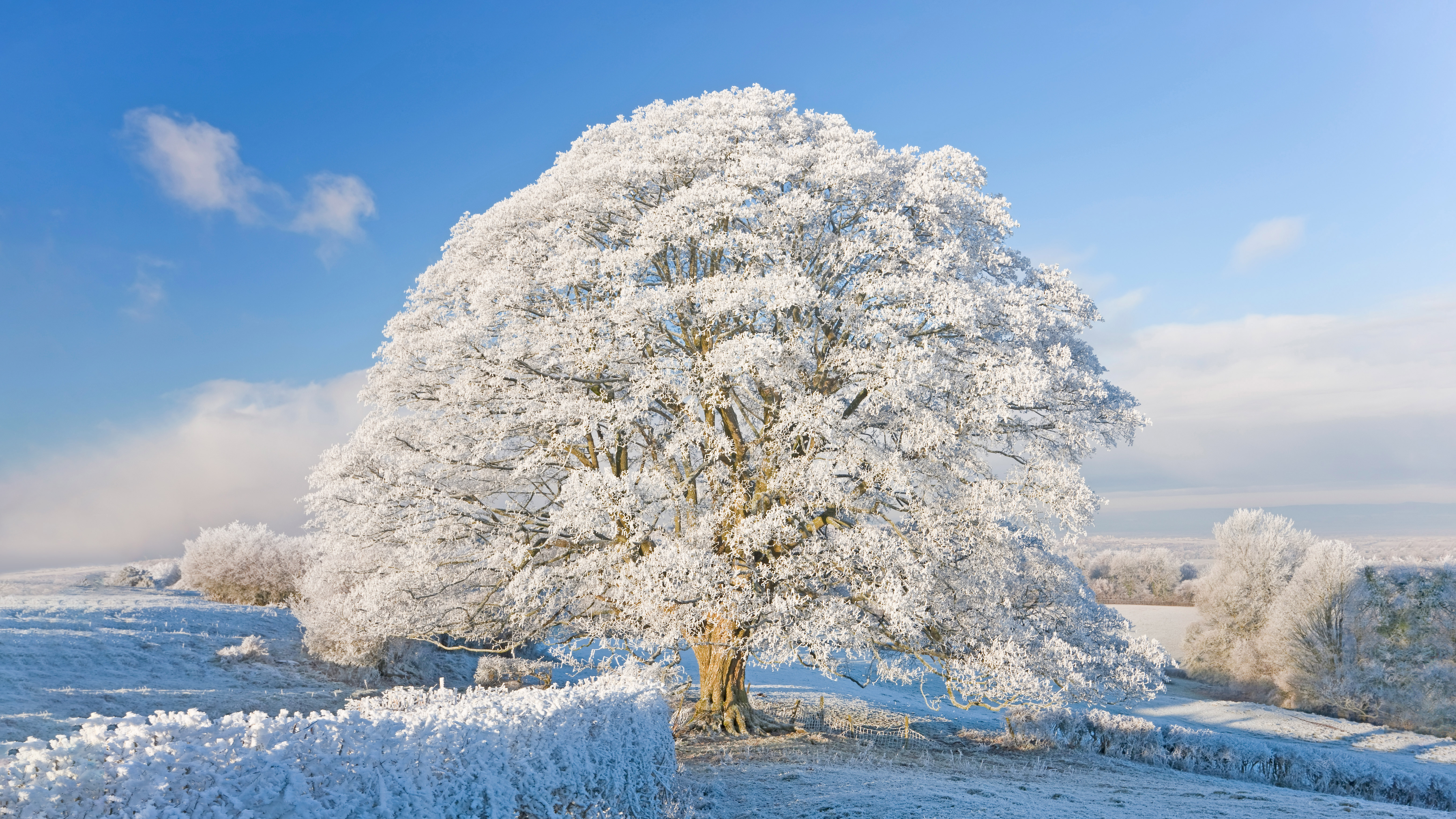 霜雪覆盖下的科茨沃尔德,英格兰 (© Peter Adams/Getty Images)