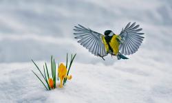 Featured image of post Bing每日图片20220326