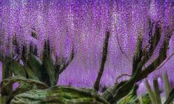 Featured image of post Bing每日图片20220328