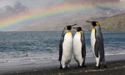 Featured image of post Bing每日图片20220425