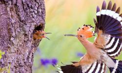 Featured image of post Bing每日图片20220430