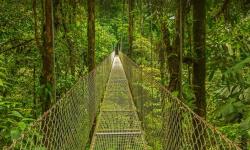 Featured image of post Bing每日图片20220526