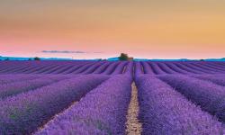 Featured image of post Bing每日图片20220627