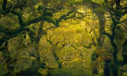 Featured image of post Bing每日图片20220730