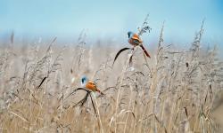 Featured image of post Bing每日图片20220828