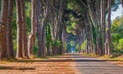 Featured image of post Bing每日图片20220830