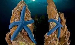 Featured image of post Bing每日图片20220831