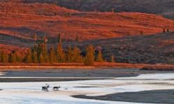 Featured image of post Bing每日图片20220926