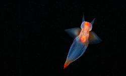 Featured image of post Bing每日图片20221029