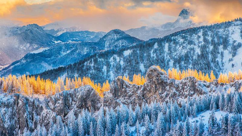 Featured image of post Bing每日图片20221124