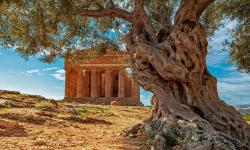 Featured image of post Bing每日图片20221126