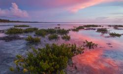 Featured image of post Bing每日图片20230127