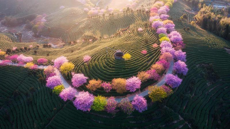 Featured image of post Bing每日图片20230204