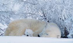 Featured image of post Bing每日图片20230227