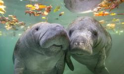 Featured image of post Bing每日图片20230329