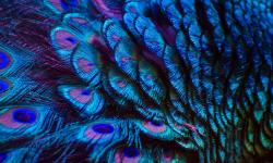 Featured image of post Bing每日图片20230330