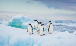 Featured image of post Bing每日图片20230425