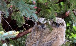 Featured image of post Bing每日图片20230426