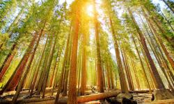 Featured image of post Bing每日图片20230428