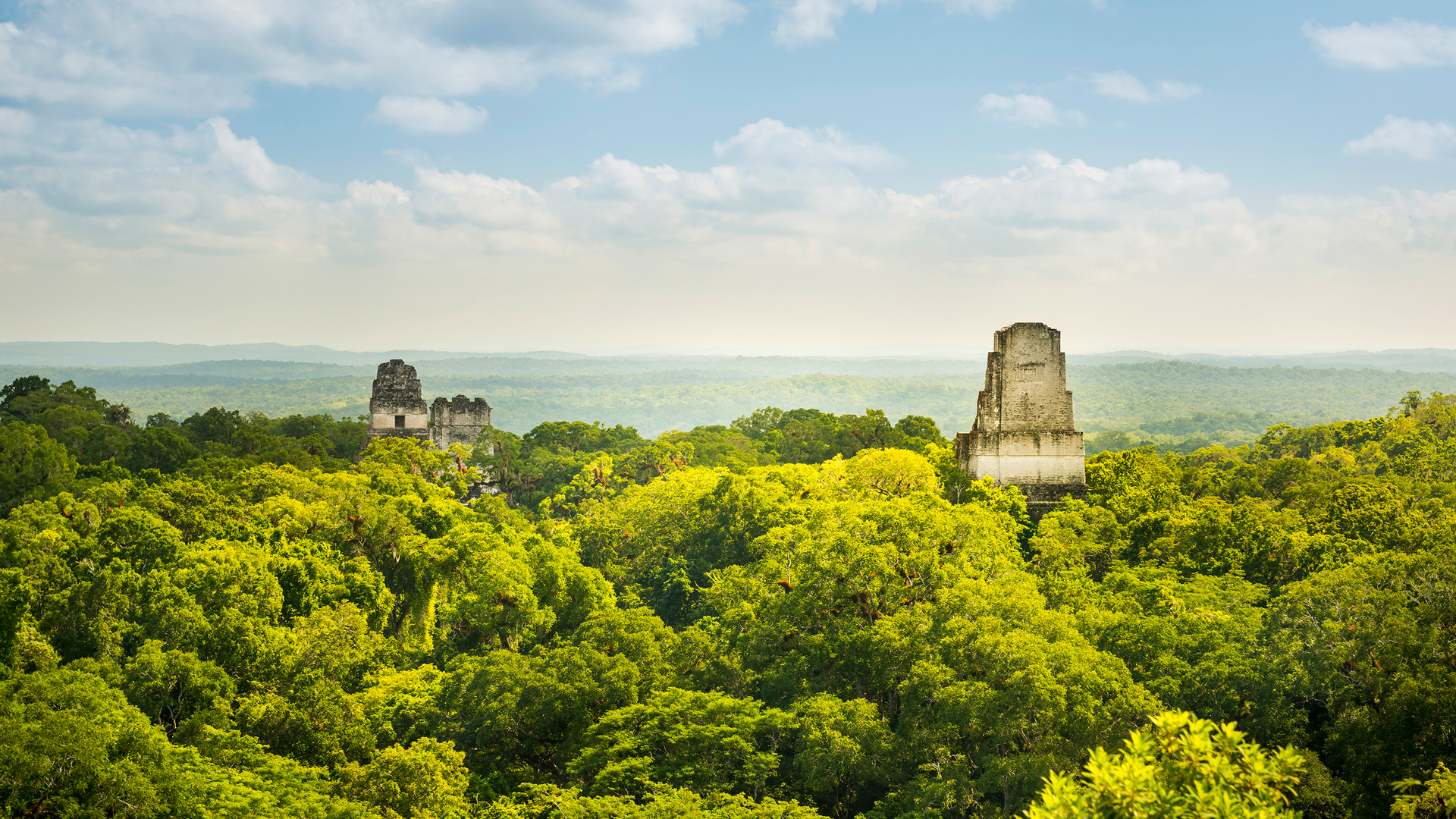 蒂卡尔的玛雅遗址,危地马拉 (© THP Creative/Getty Images)