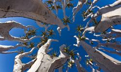 Featured image of post Bing每日图片20230527