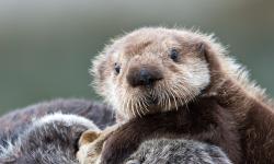 Featured image of post Bing每日图片20230531