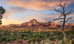 Featured image of post Bing每日图片20230627