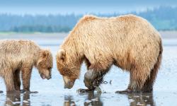 Featured image of post Bing每日图片20230630